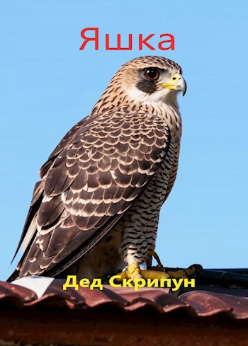 Яшка