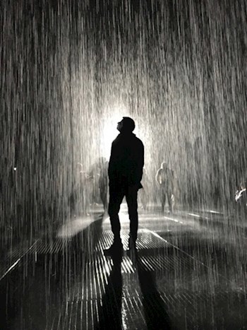 Бессмертный