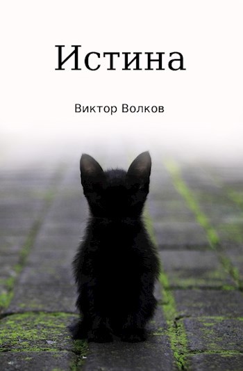 Истина
