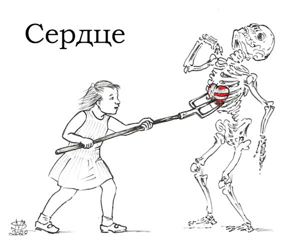 Сердце
