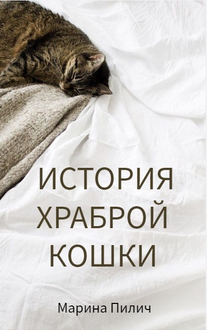 История храброй кошки