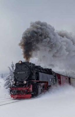 Потеряны, но не забыты