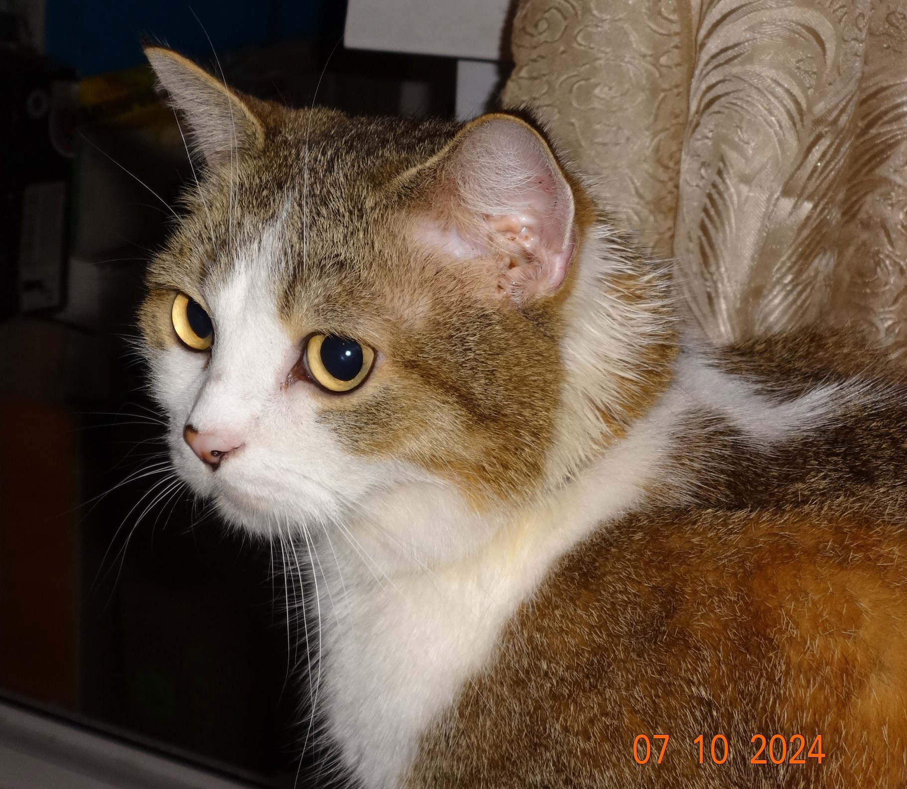 Зимний сборник стихотворений ._ " Я художник "