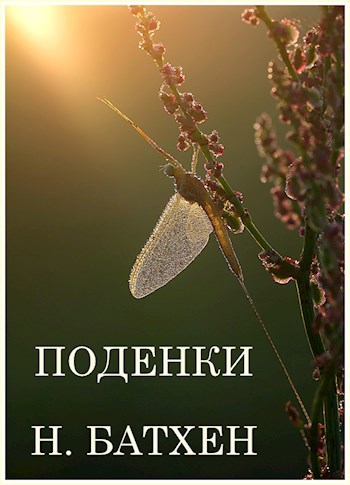 Поденки