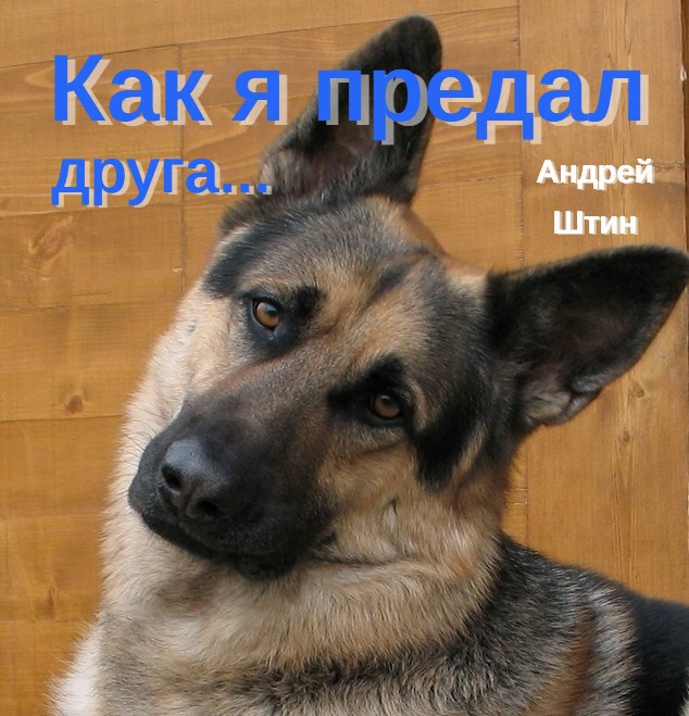 Как я предал друга...