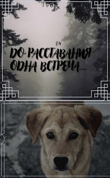 До расставания одна встреча