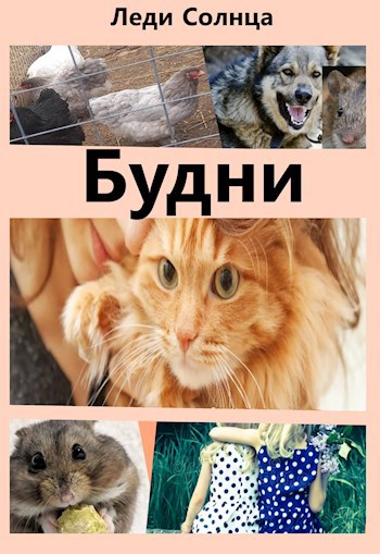 Будни