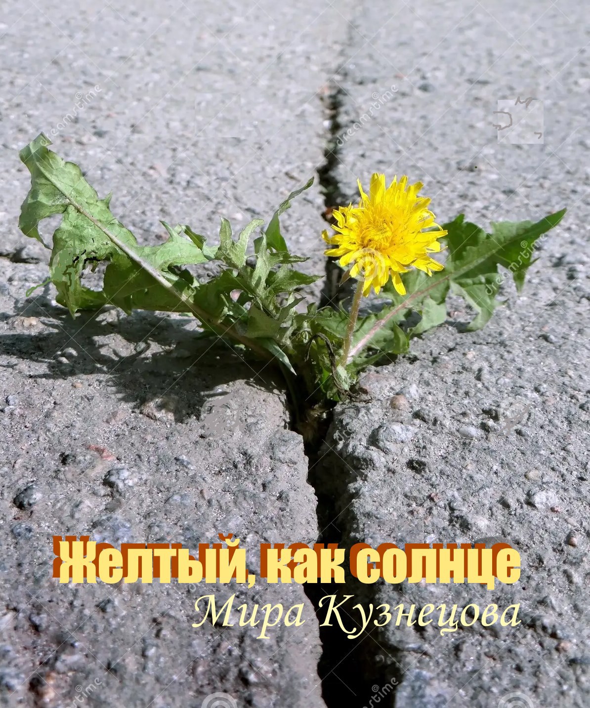 Жёлтый как солнце