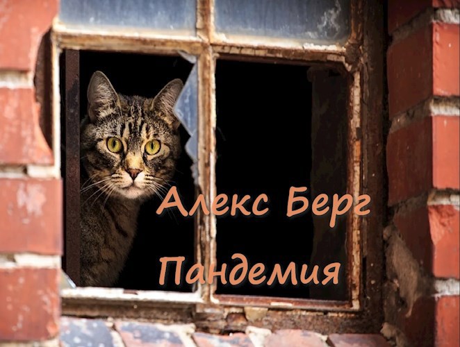 Пандемия