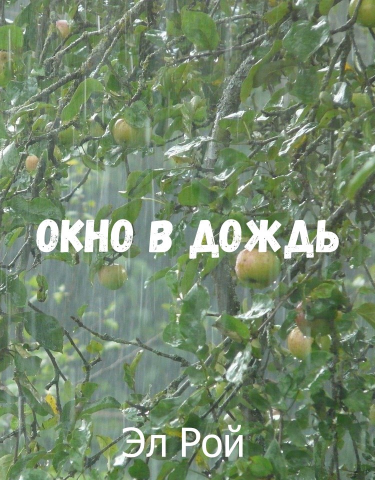 Окна в дождь
