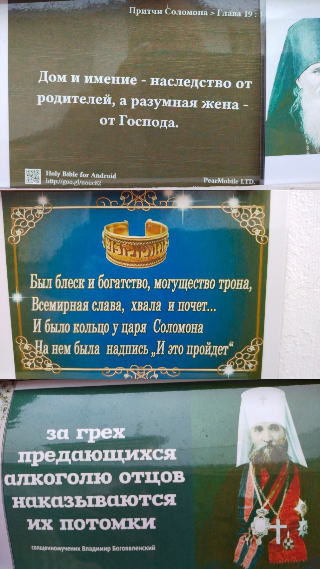 Thirty Years and Three Days... or 33 Cows