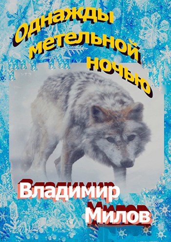 Однажды метельной ночью