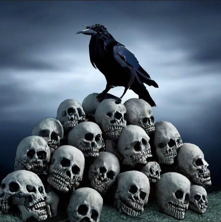 Соковыжималка