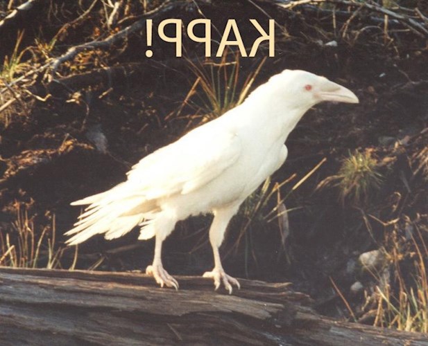 Сквозняк