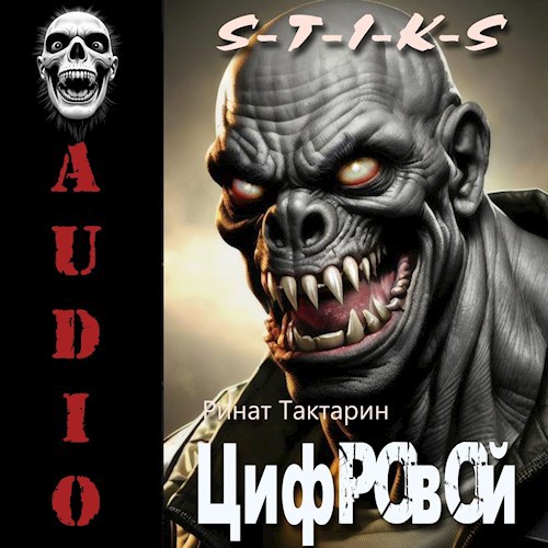 S-T-I-K-S АУДИО Цифровой