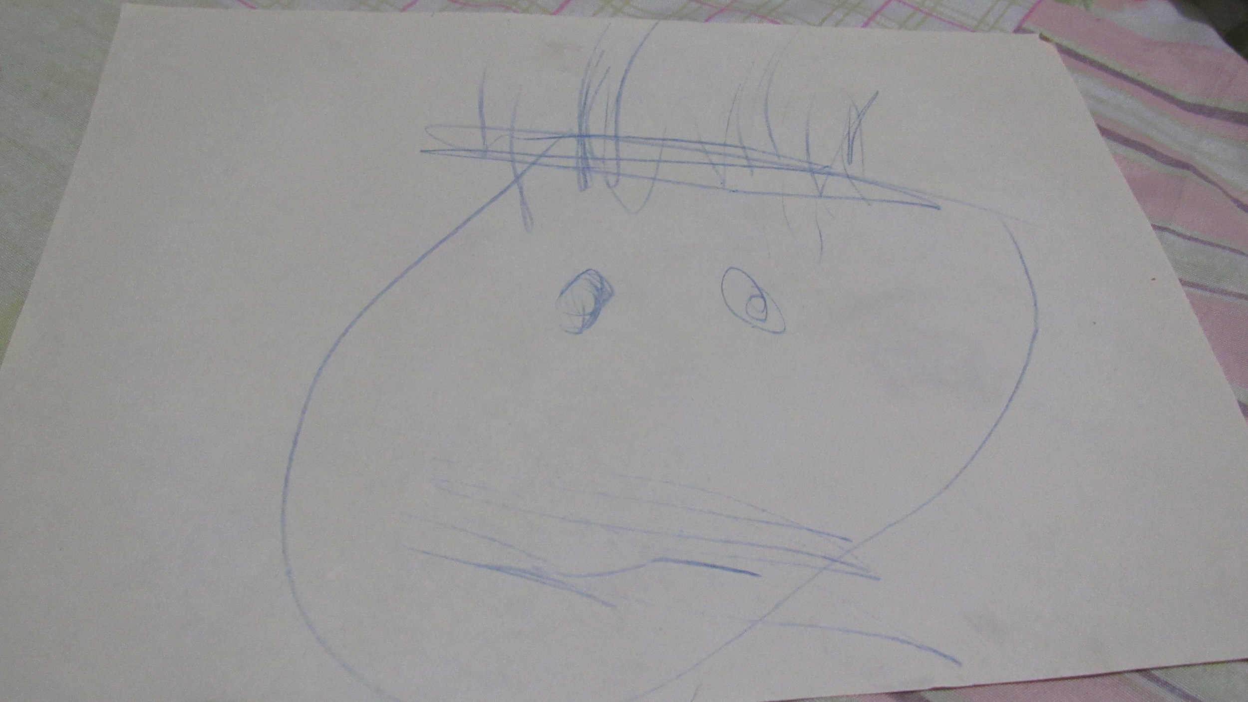 Голова - рисунок Маринетт Мортем в 2 года