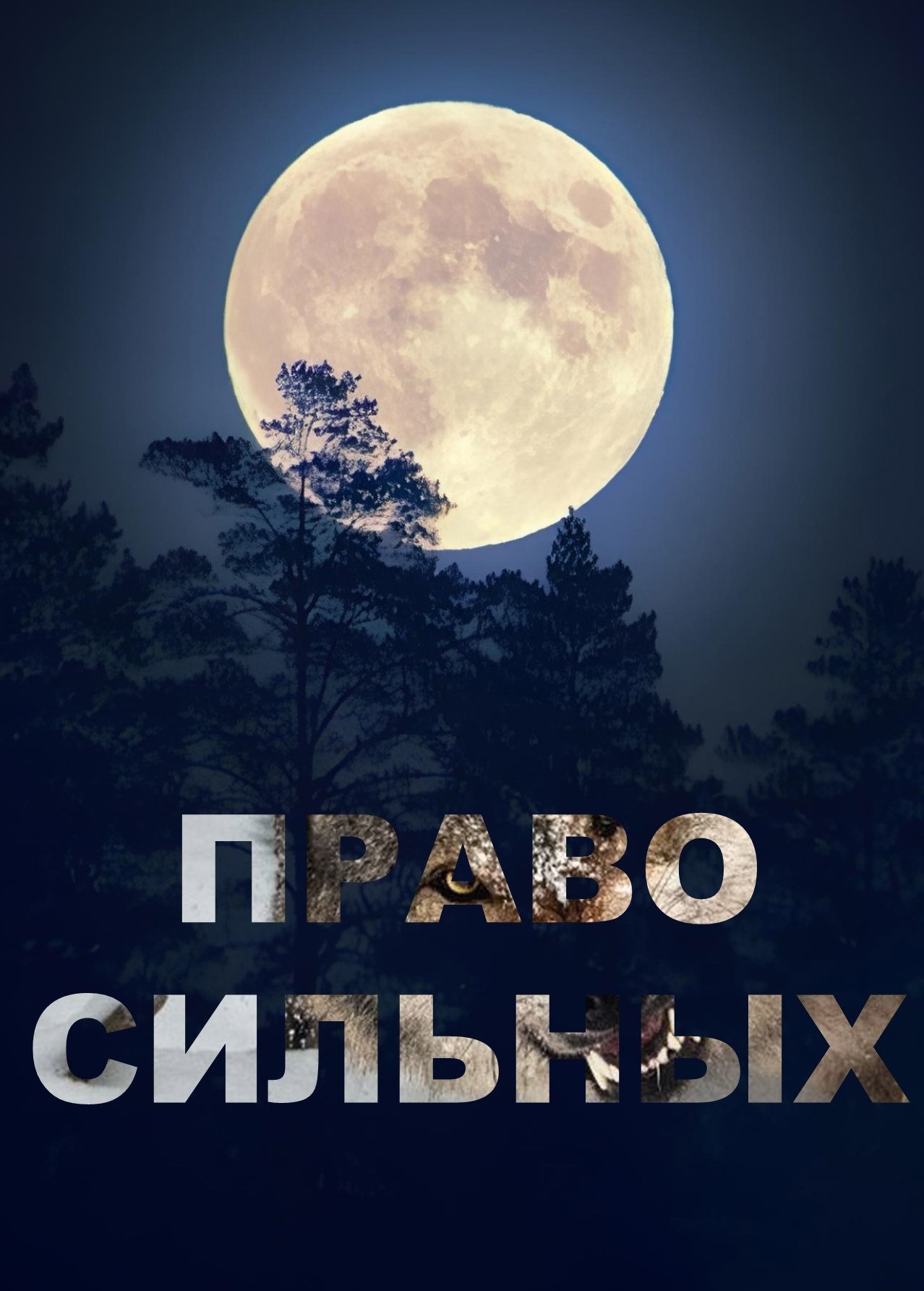 Право сильных