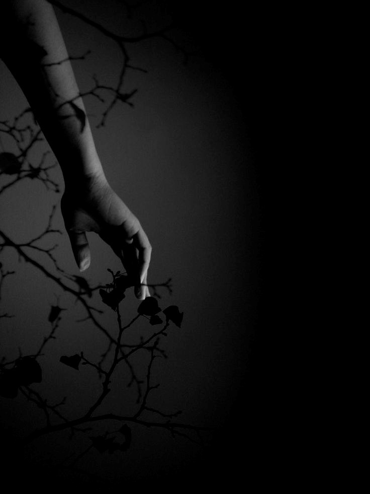 Предметность Бытия