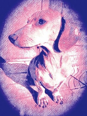 Старый Район