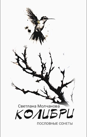 Колибри
