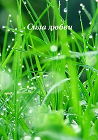 Сила любви