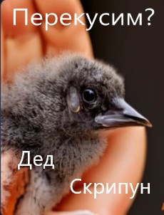 Перекусим