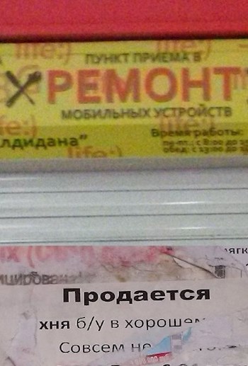 Авокинжопас