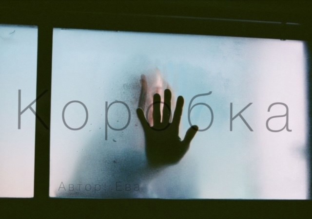 Коробка