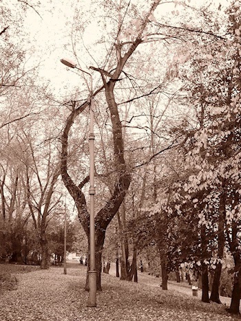 Волшебное средство от всех проблем