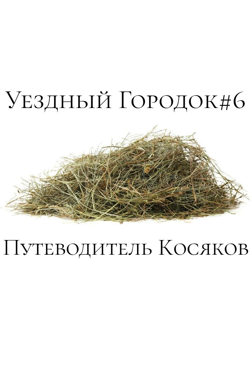 Уездный Городок#6: Путеводитель Косяков