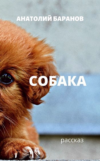 Собака