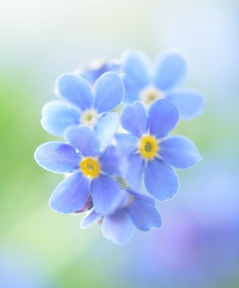 Настроения