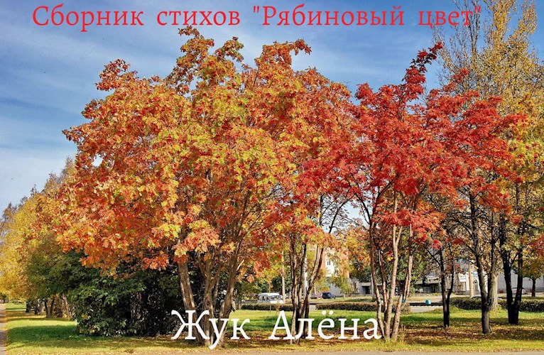 "Рябиновый цвет"