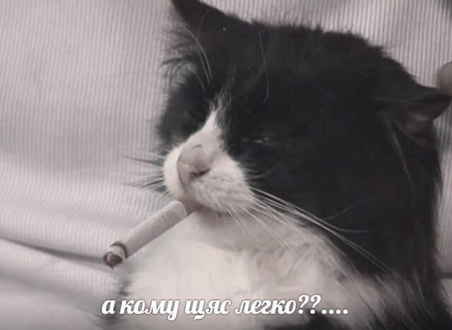 Письмо