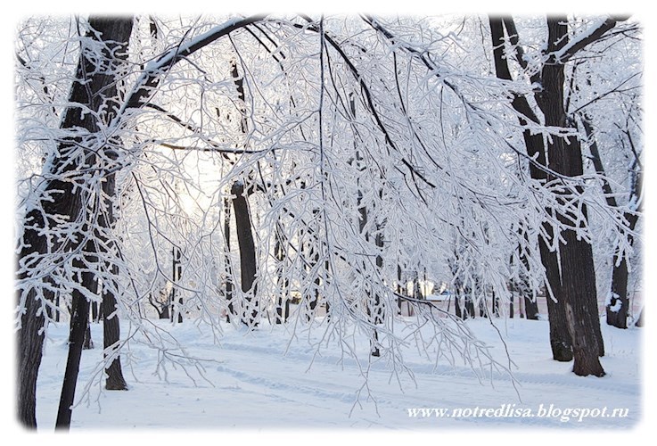 Призрачный город. Мой декабрь.