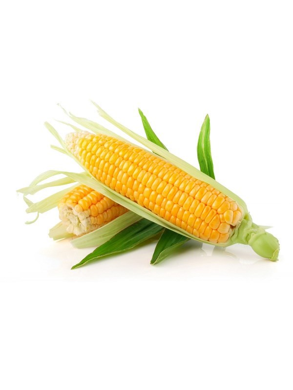 Вести с полей