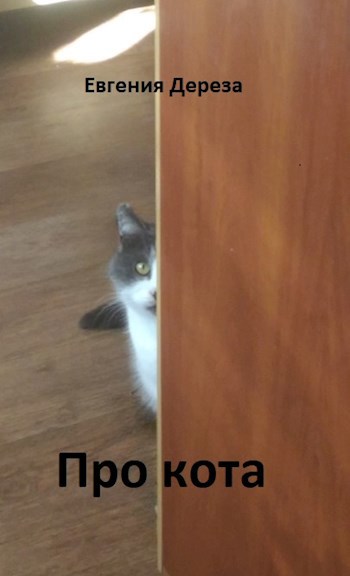 Про кота