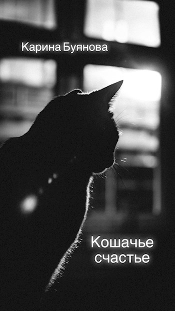 Кошачье счастье