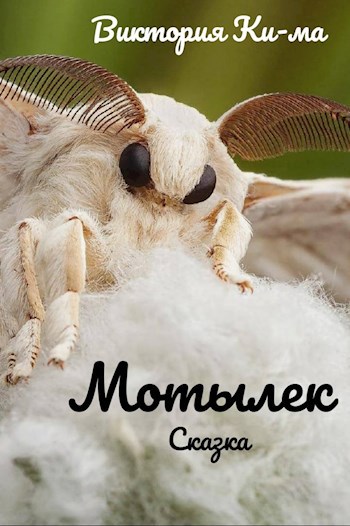 Мотылек