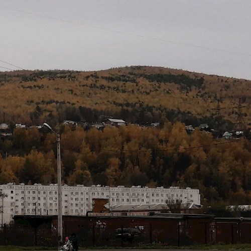 Проза о жизни