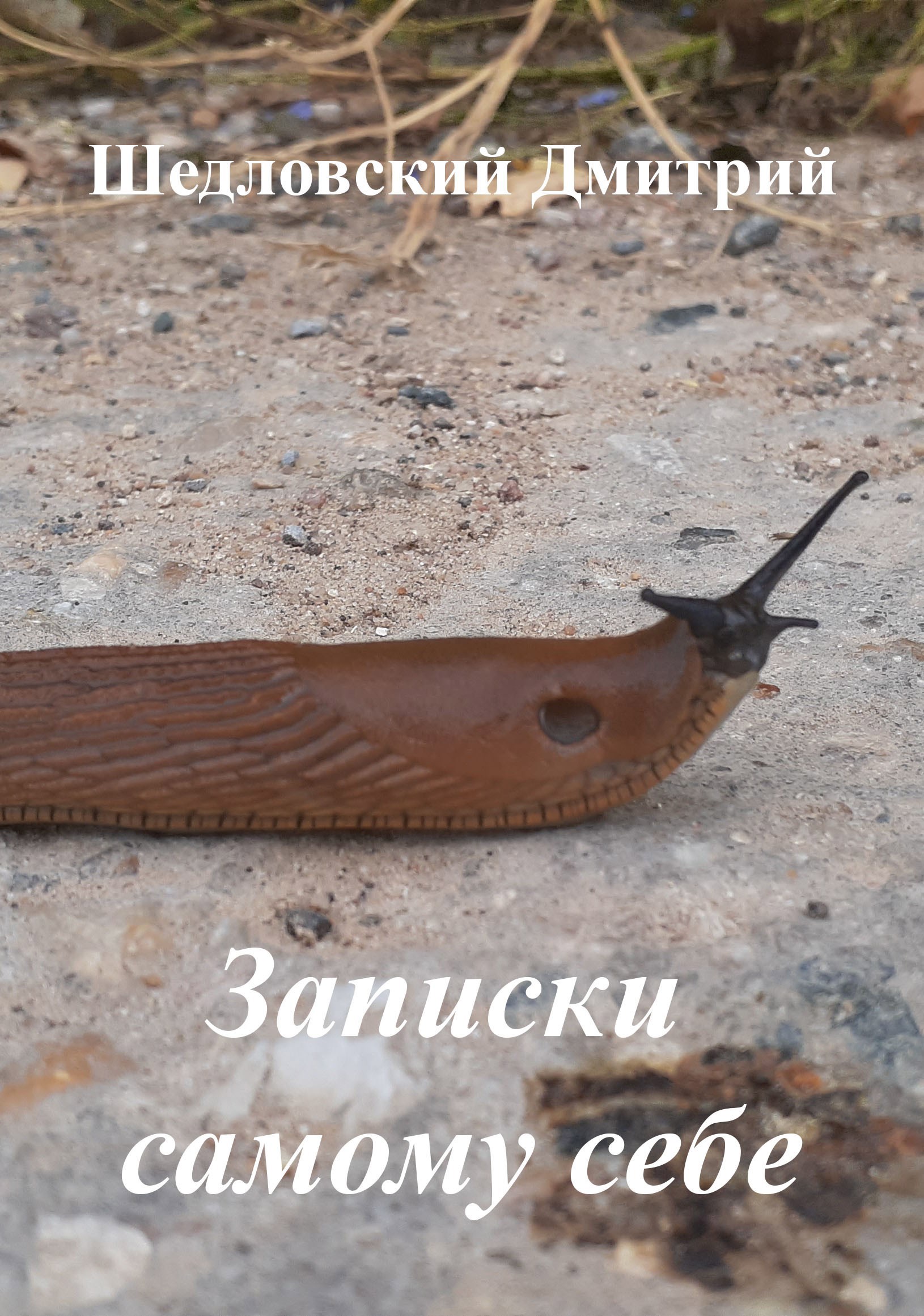 Записки самому себе