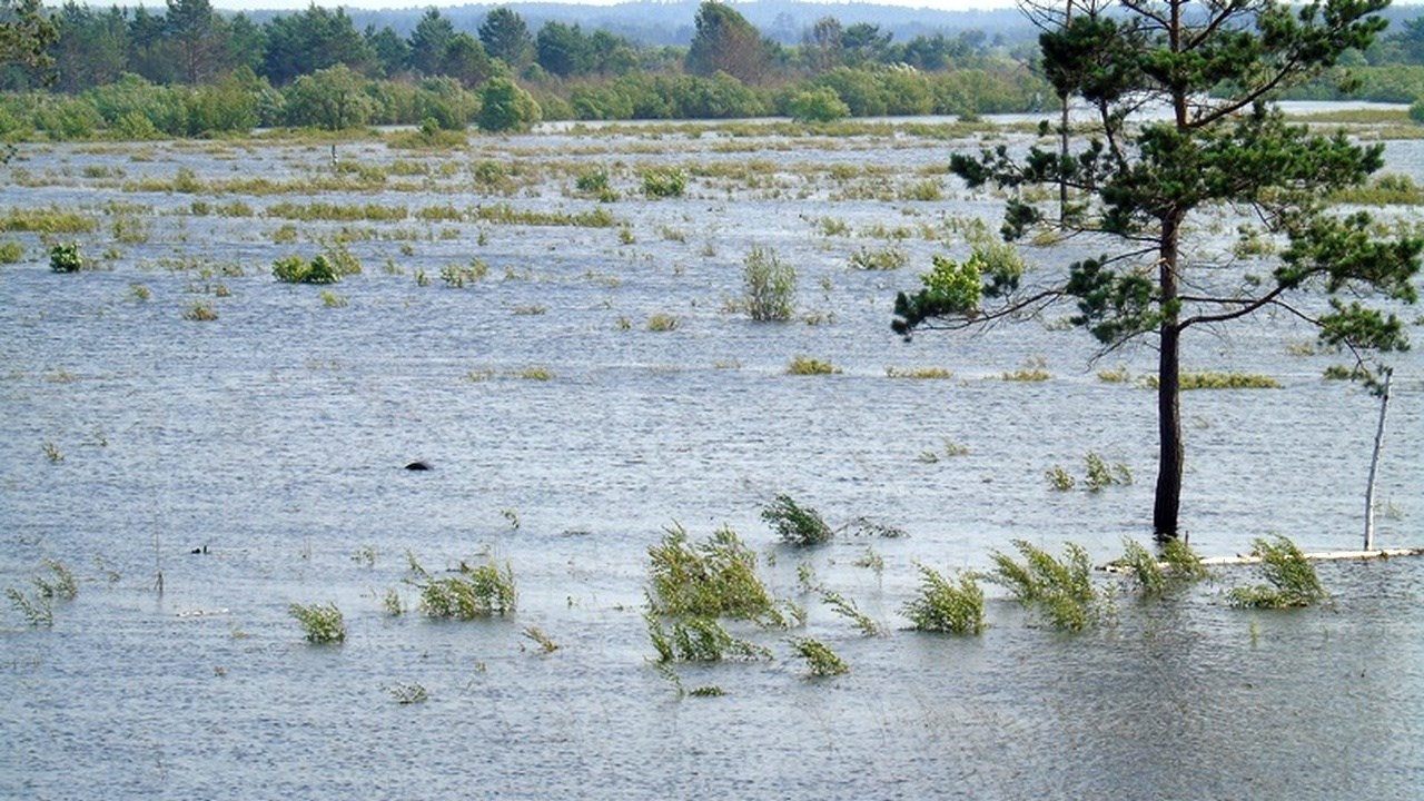 Битва со стихиями