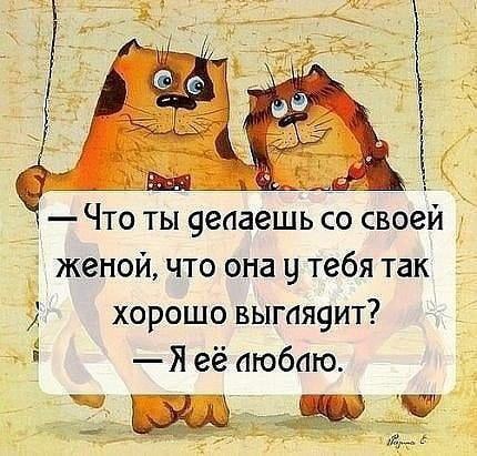 Вырезанная часть из "Звезды ветер и мы, дорогами иных миров"
