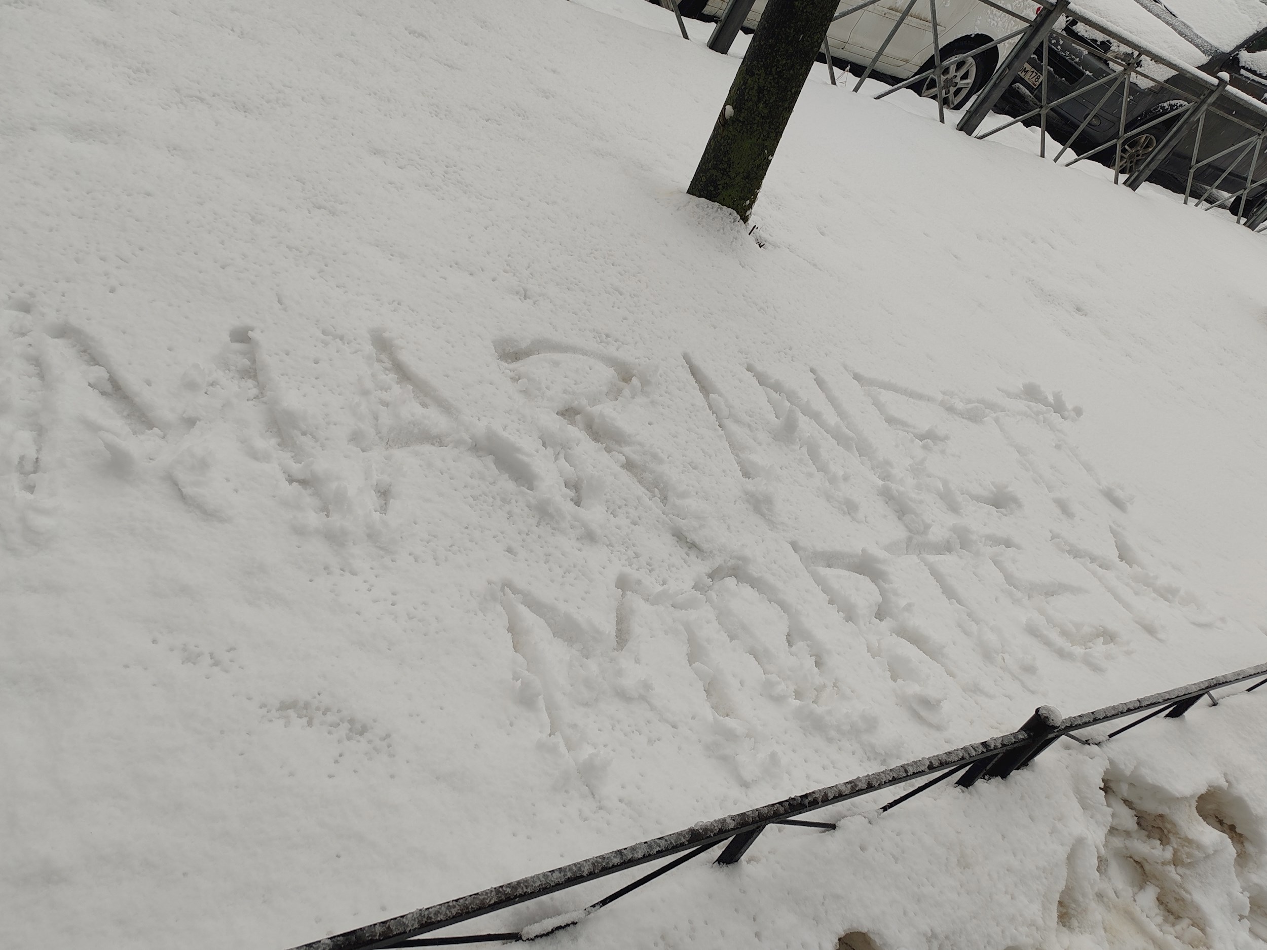 Фанатская любовь к Маринетт Мортем: имя на снегу