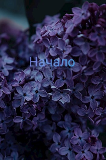 Начало