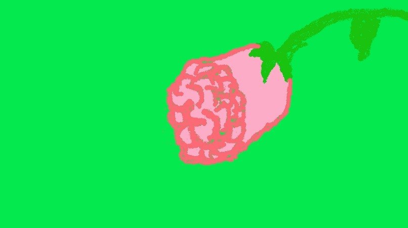 Картины Маринетт Мортем &quot;Роза на зеленом фоне&quot; и &quot;Роза на салатовом фоне&quot;