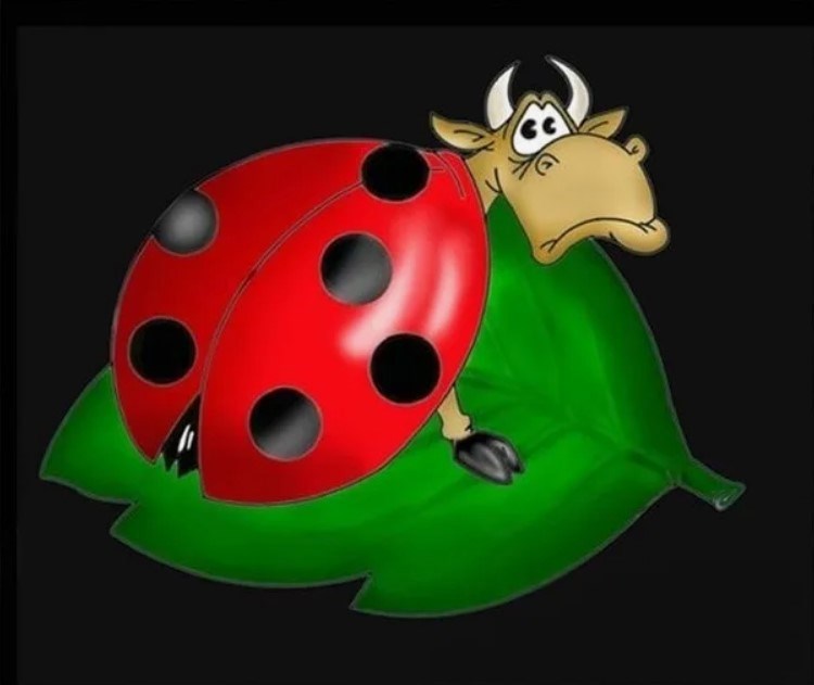 Божья коровка