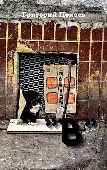 "В"