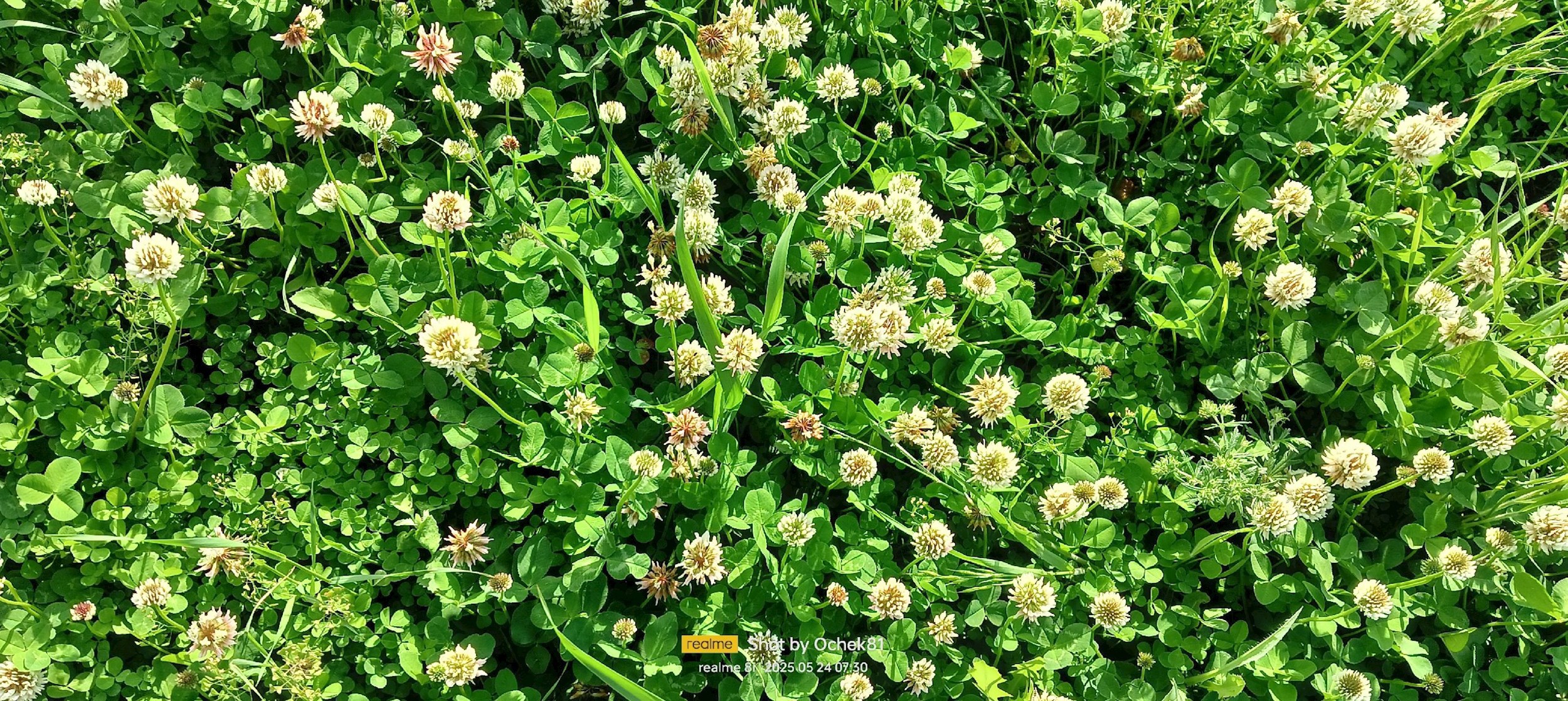 Дусины рассказы