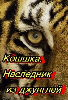 Кошшка